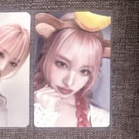 km猴子栗