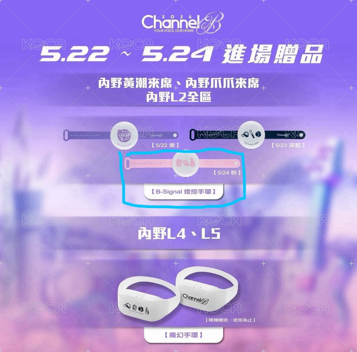 燈控手環（當日使用一次 無電池）