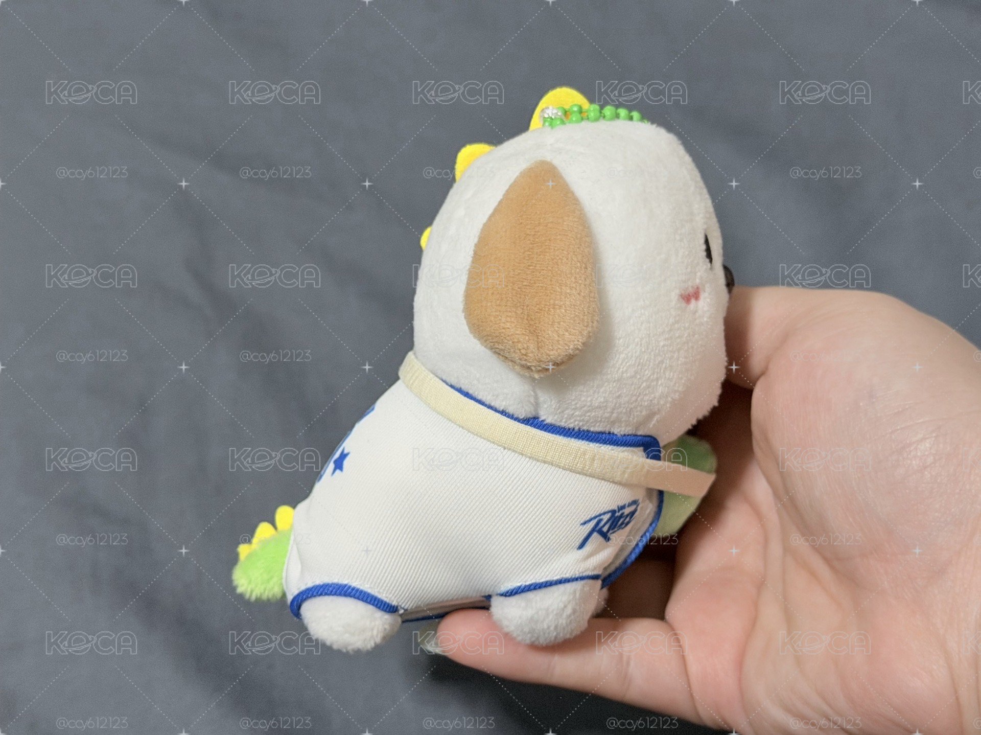 RIIZE 磁吸狗龍娃🦕✨