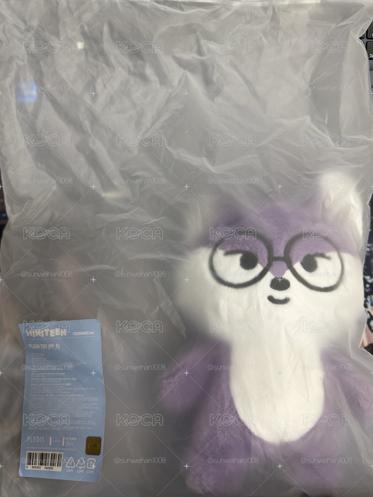 MINITEEN 站娃 娃娃玩偶 FOXDUNGEE