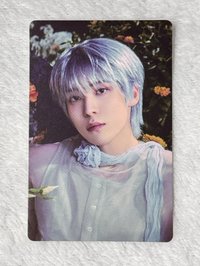 銀髮花美男