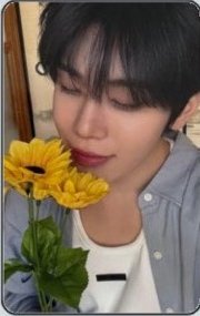 日專回帰LOVE 通常盤 專輯卡 2.Summer Flower ver.