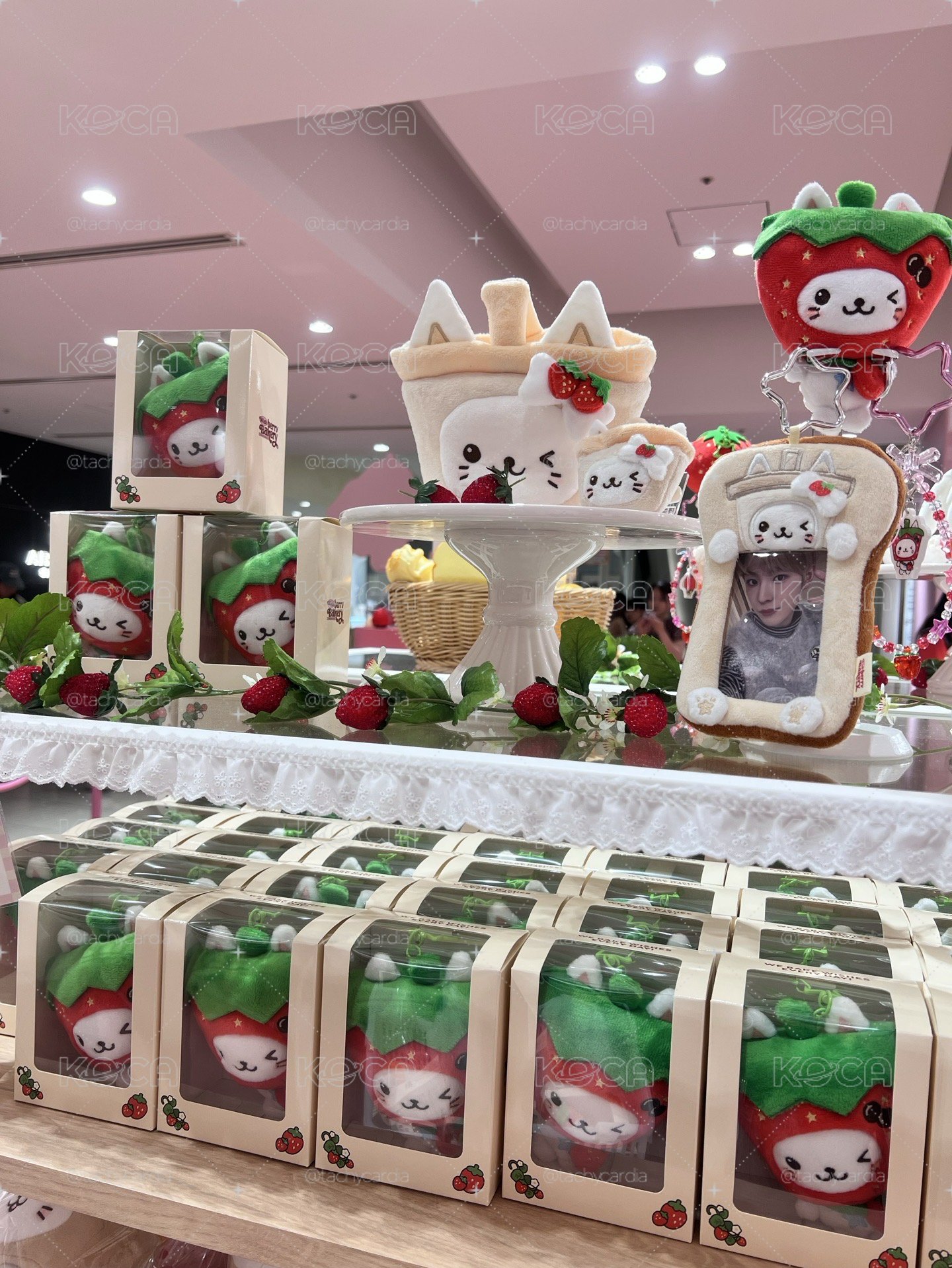NCT WISH BAKERY BERRY 線下