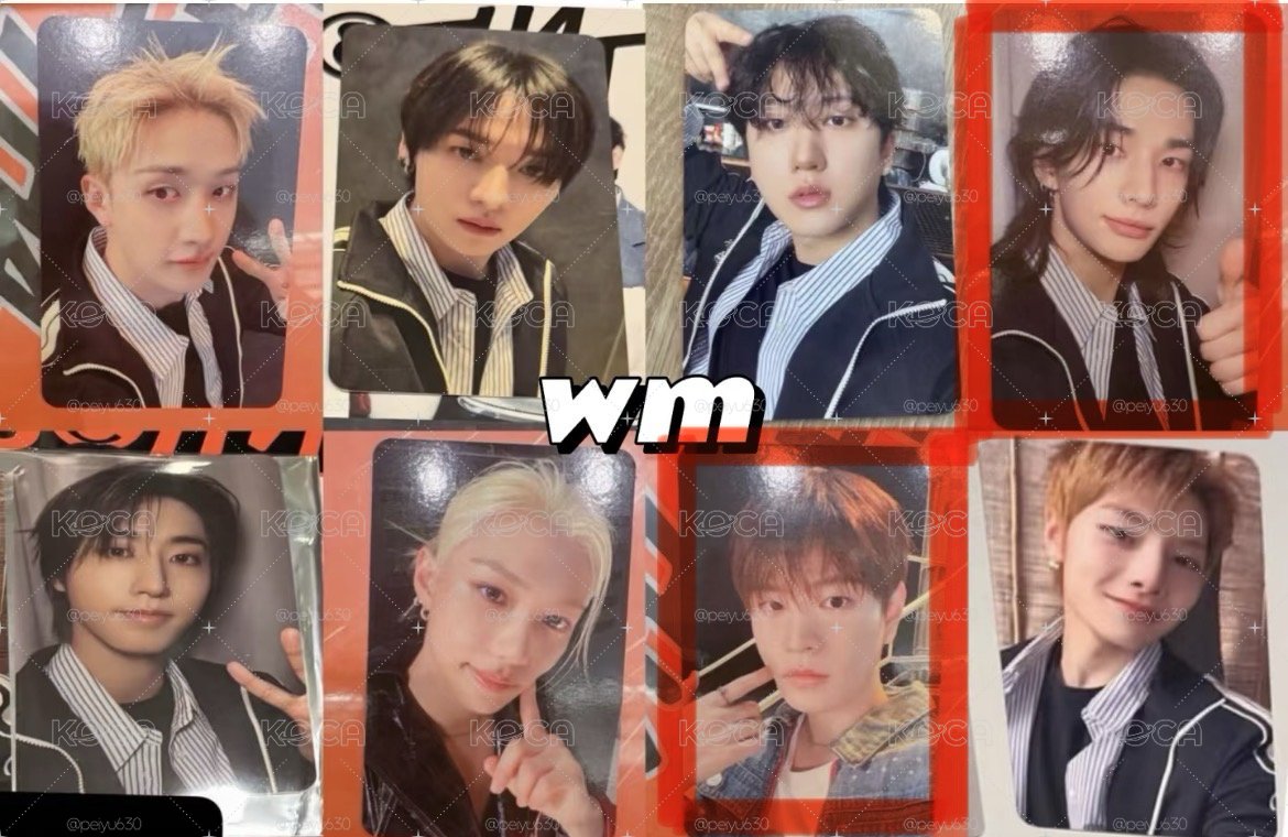 Straykids This&That with muu特典卡