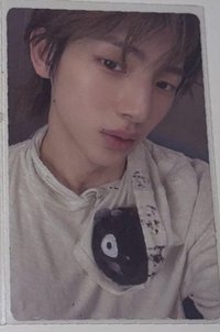 一張豬昏