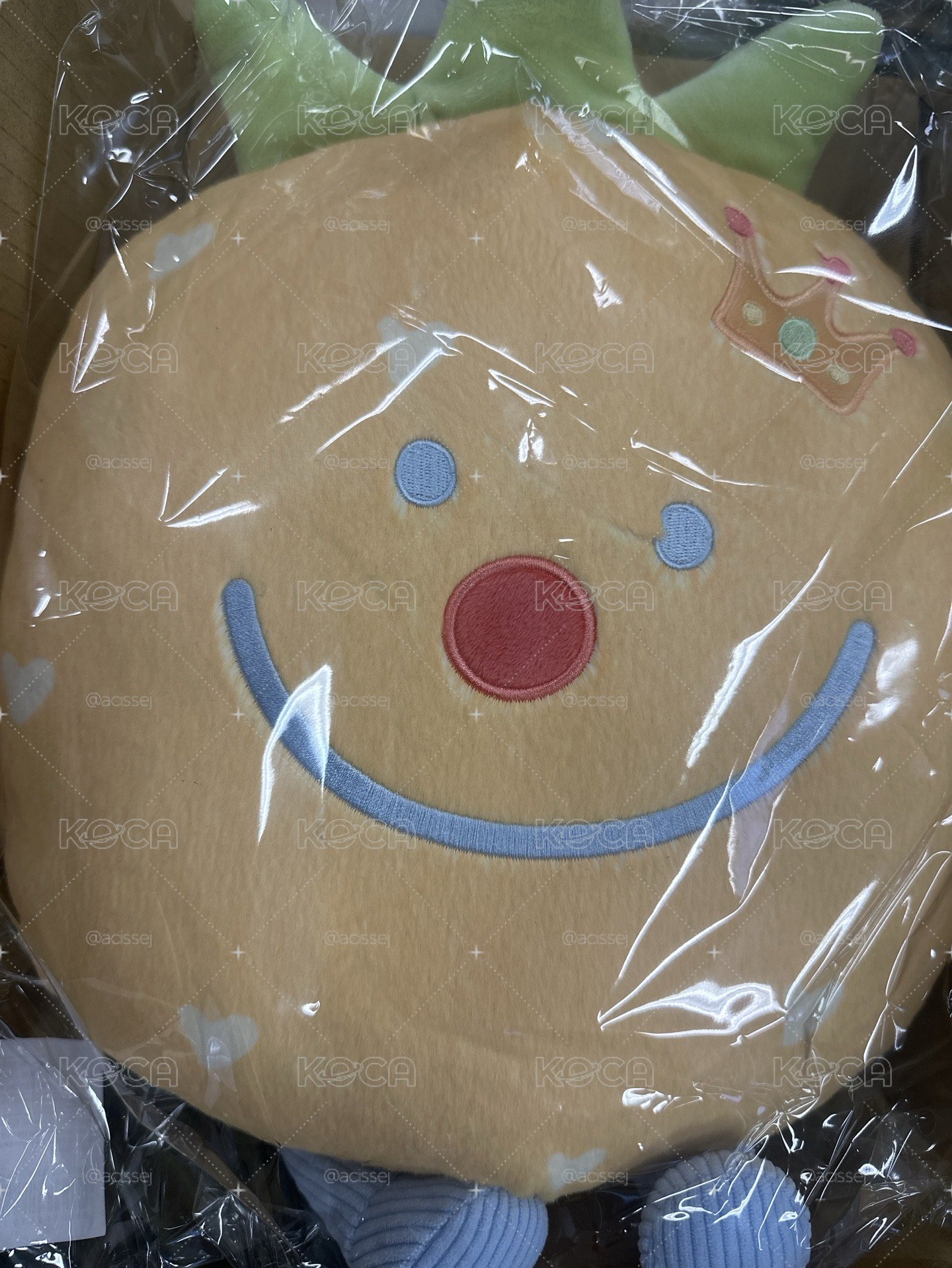 始源鳳梨抱枕（含卡）
