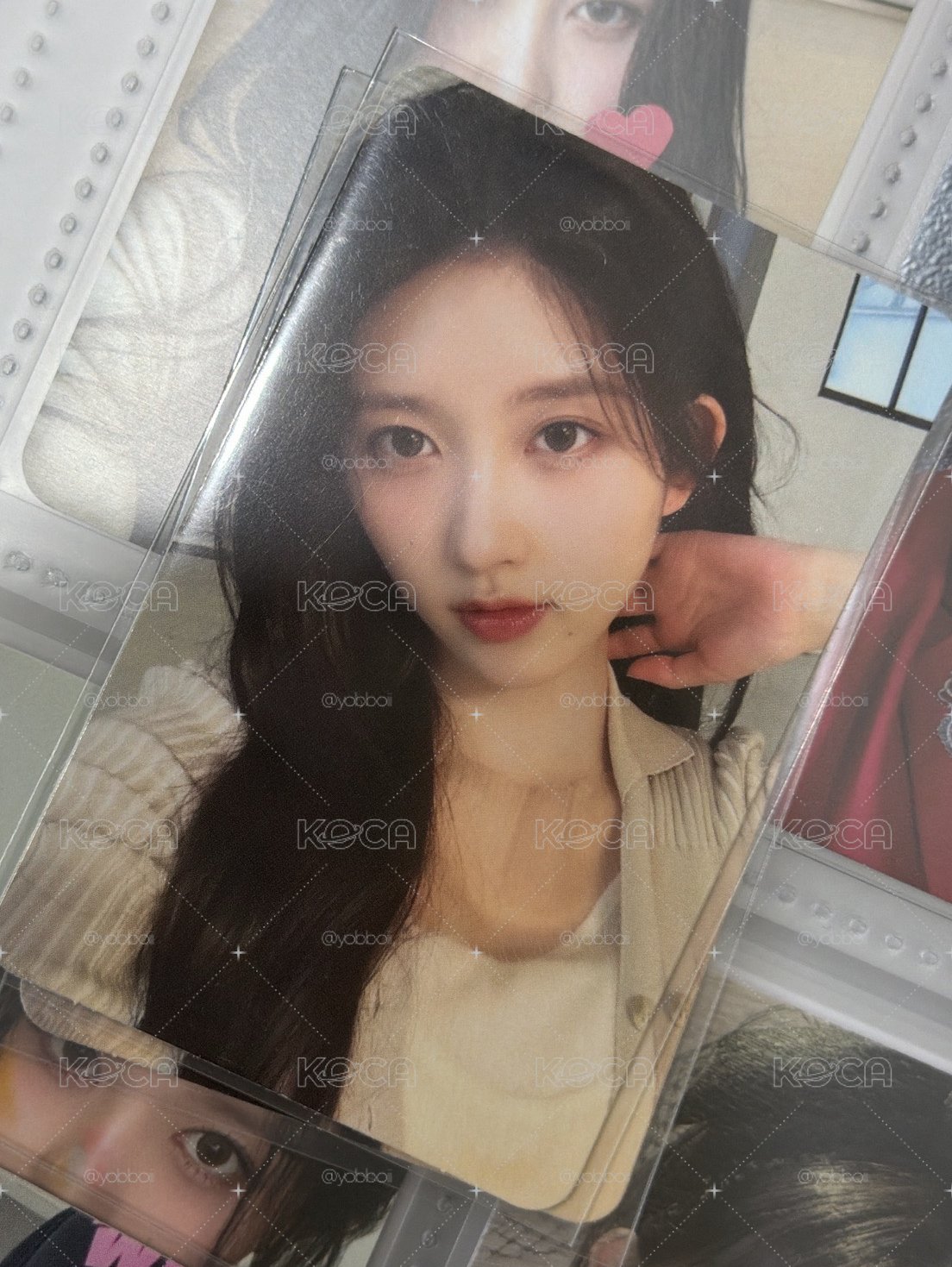 美美秋