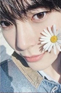 日專回帰LOVE 塔店 hmv animate 蔦屋書店 幸運卡 