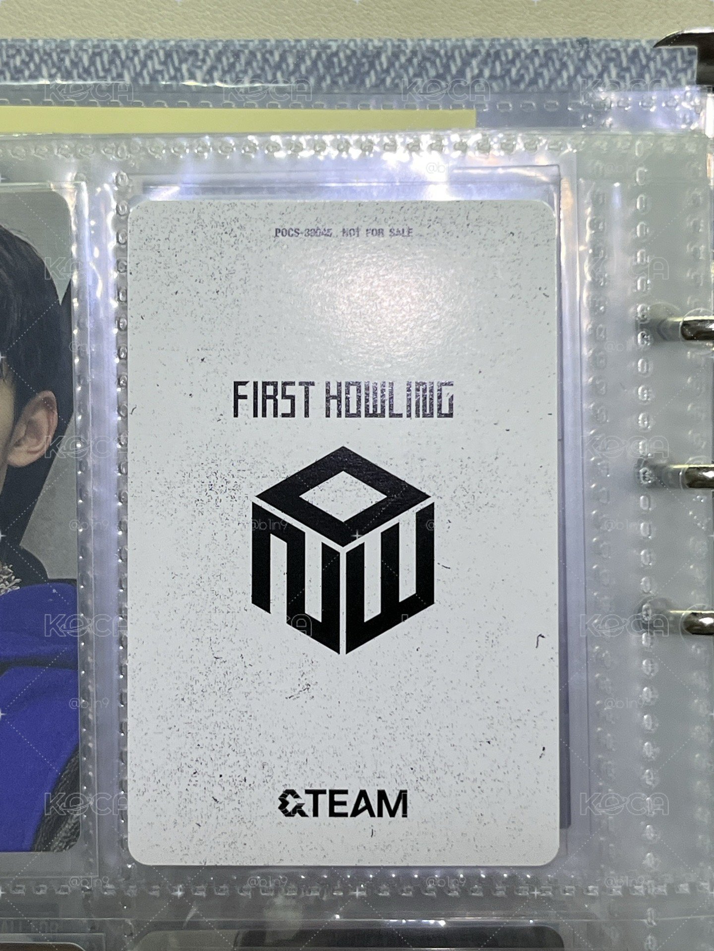 NOW 專輯卡 初回限定B