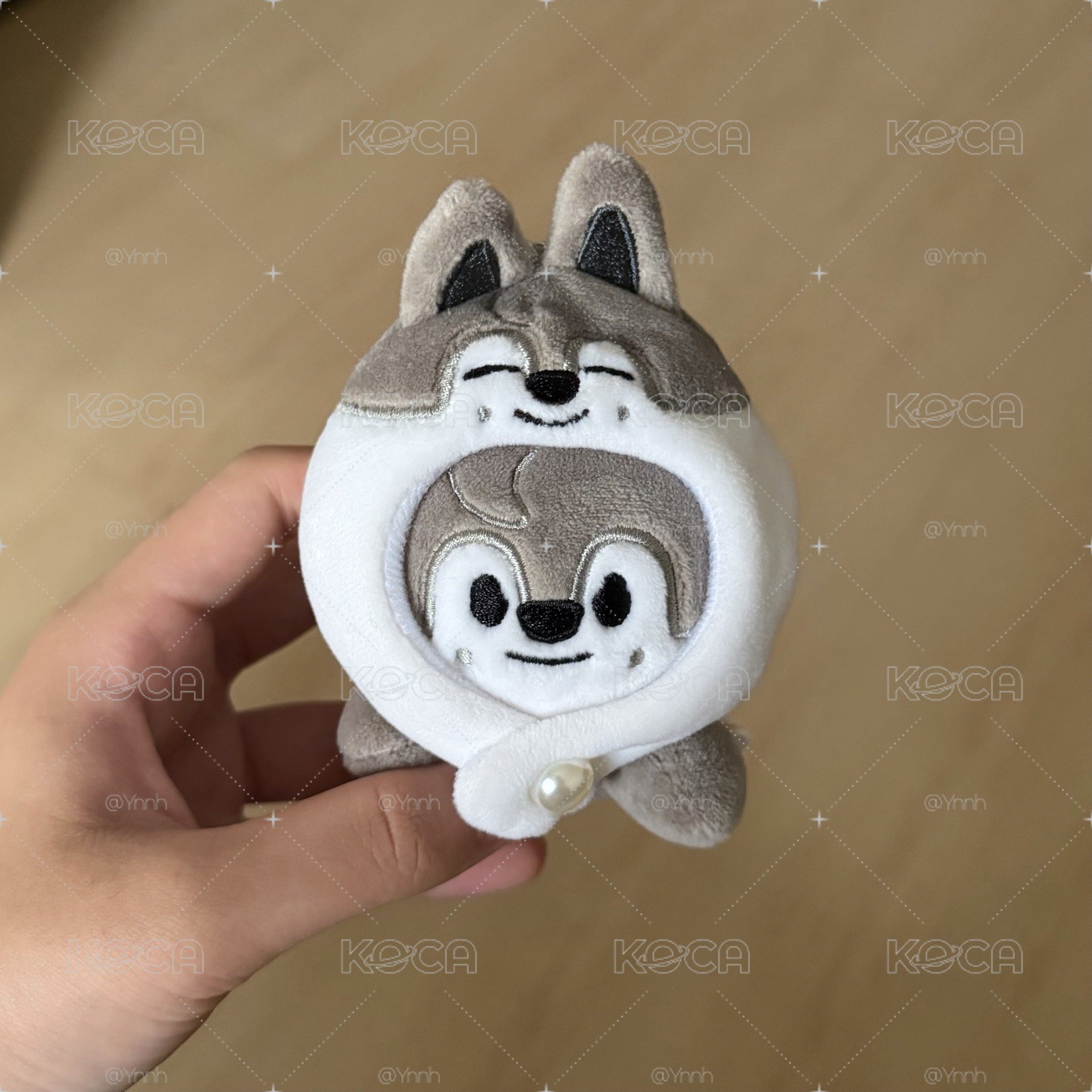 燦安可趴娃