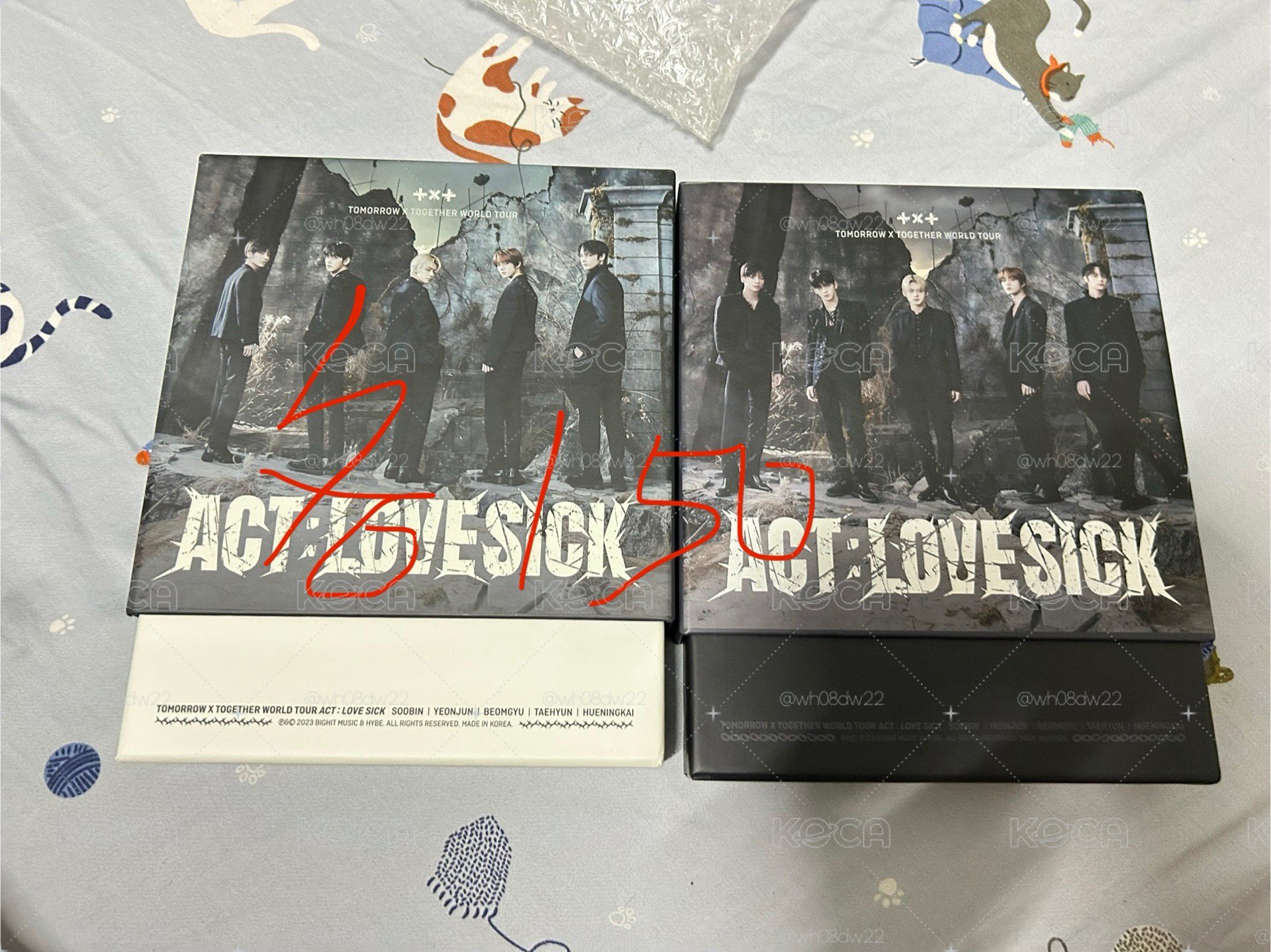 txt lovesick 演唱會dvd