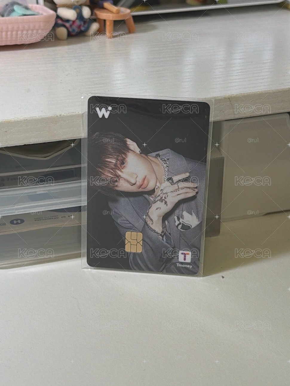 方燦 WOWPASS交通卡
