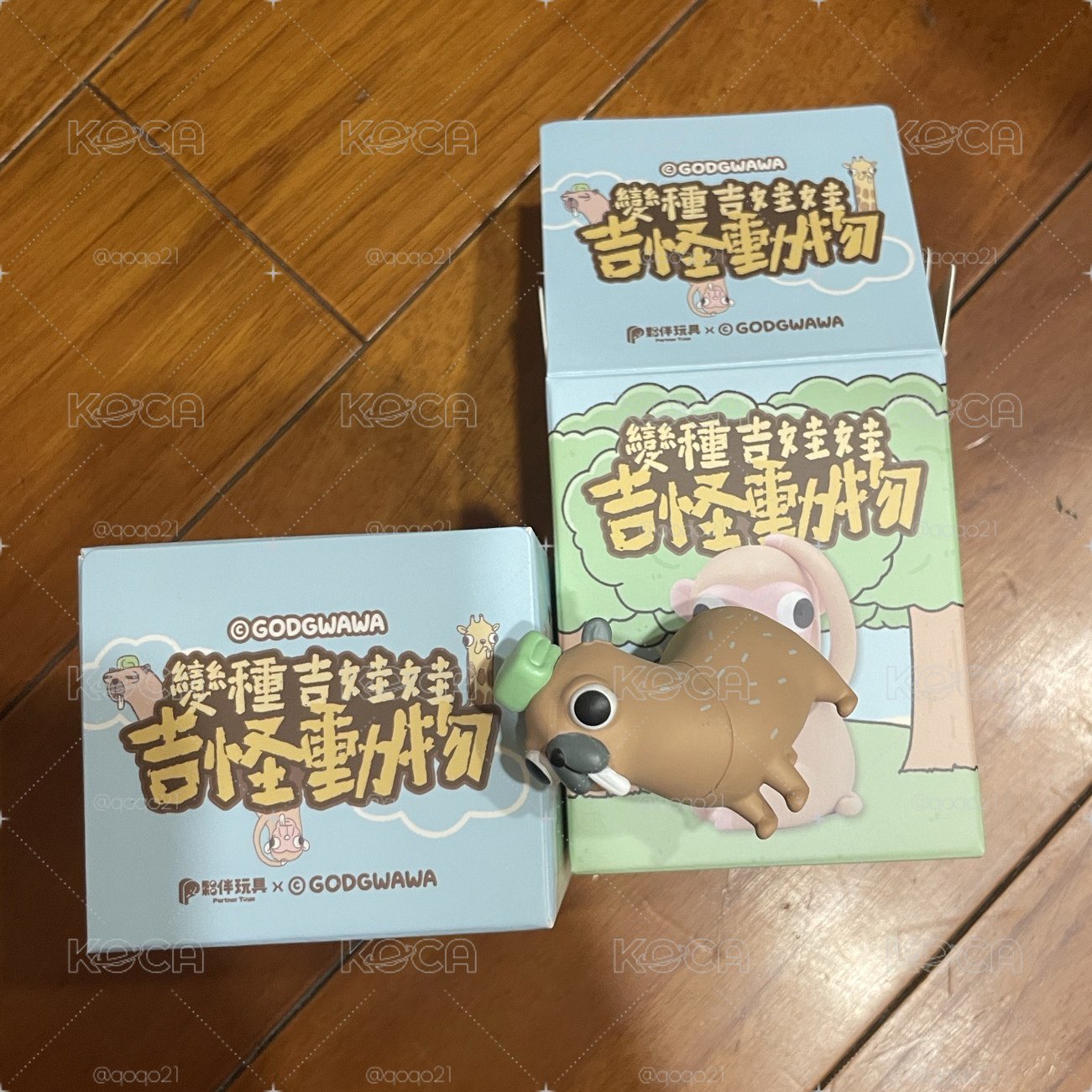 變種吉娃娃吉怪動物