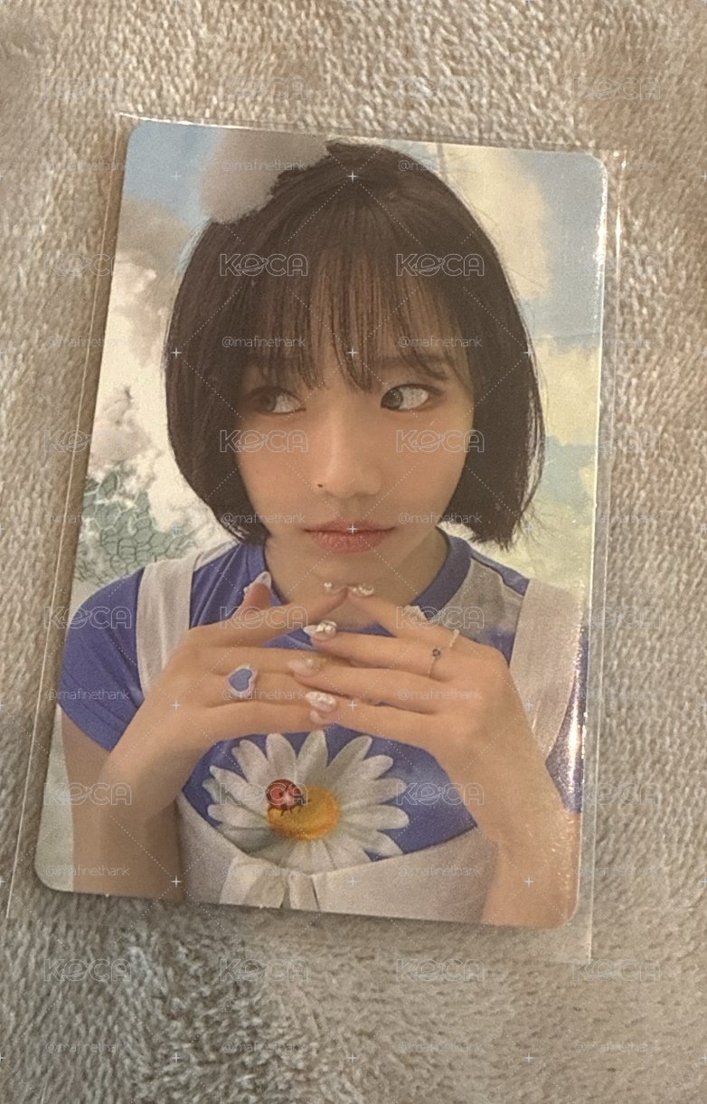 柔理小卡