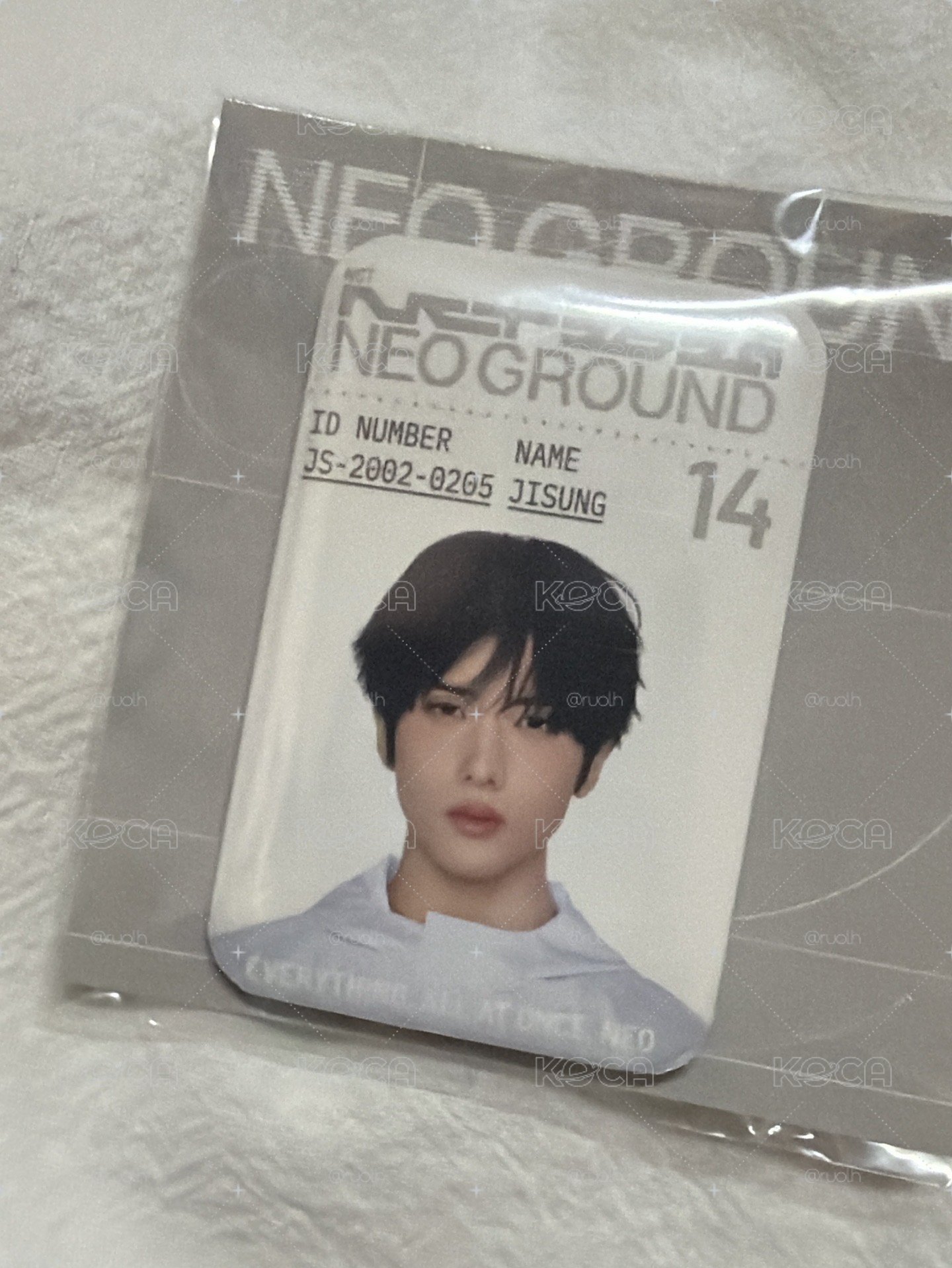NCT DREAM JISUNG 志晟 徽章