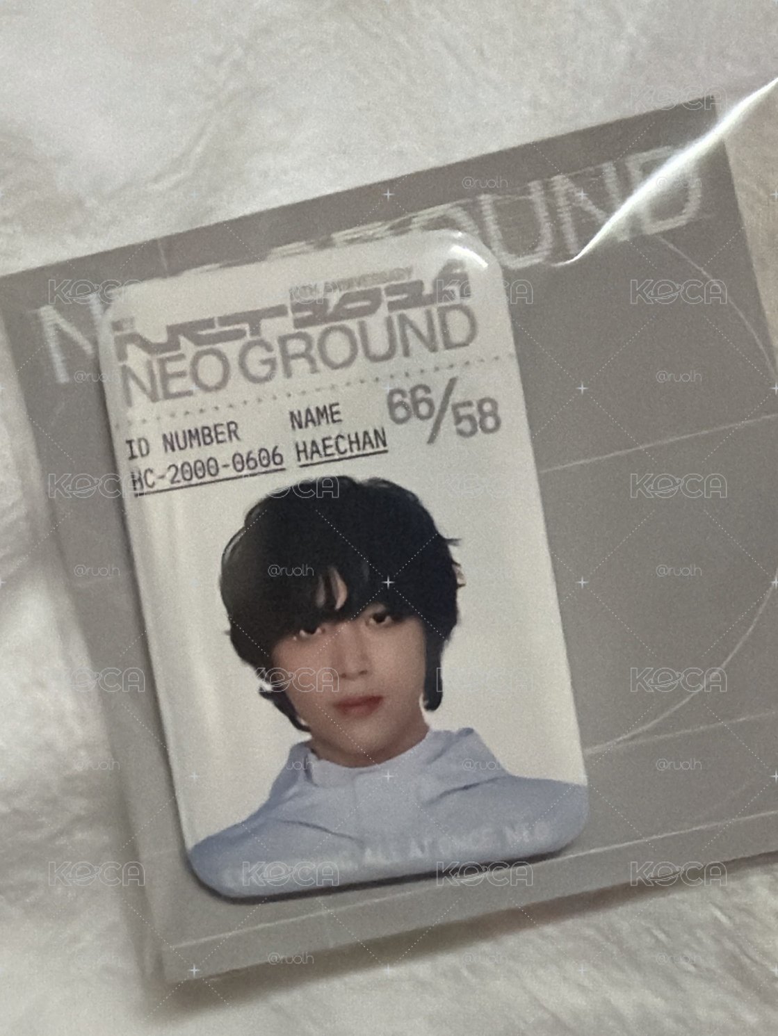 NCT DREAM HAECHAN 李楷燦 徽章