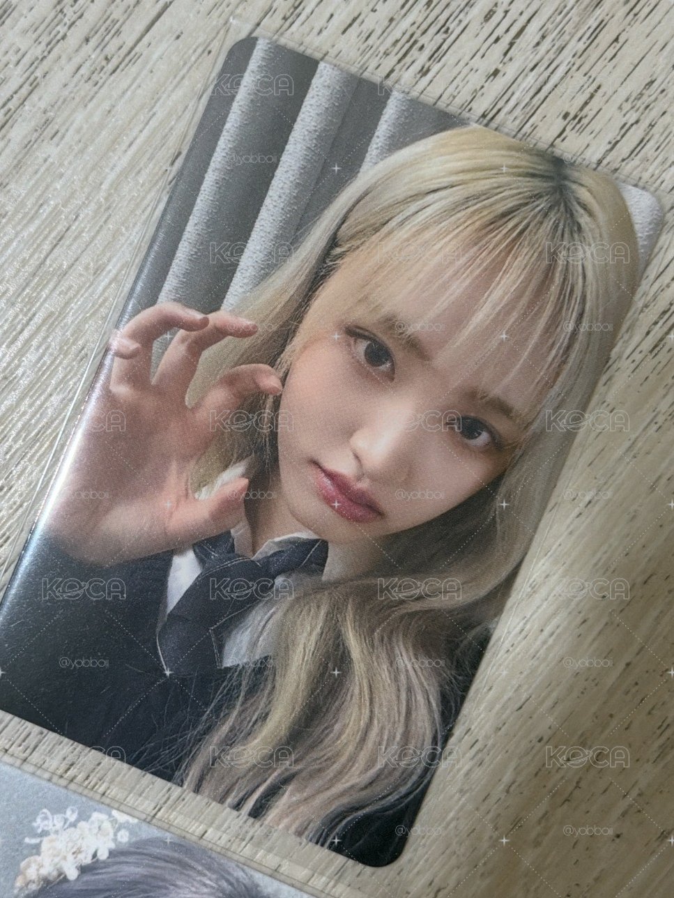 爪爪栗