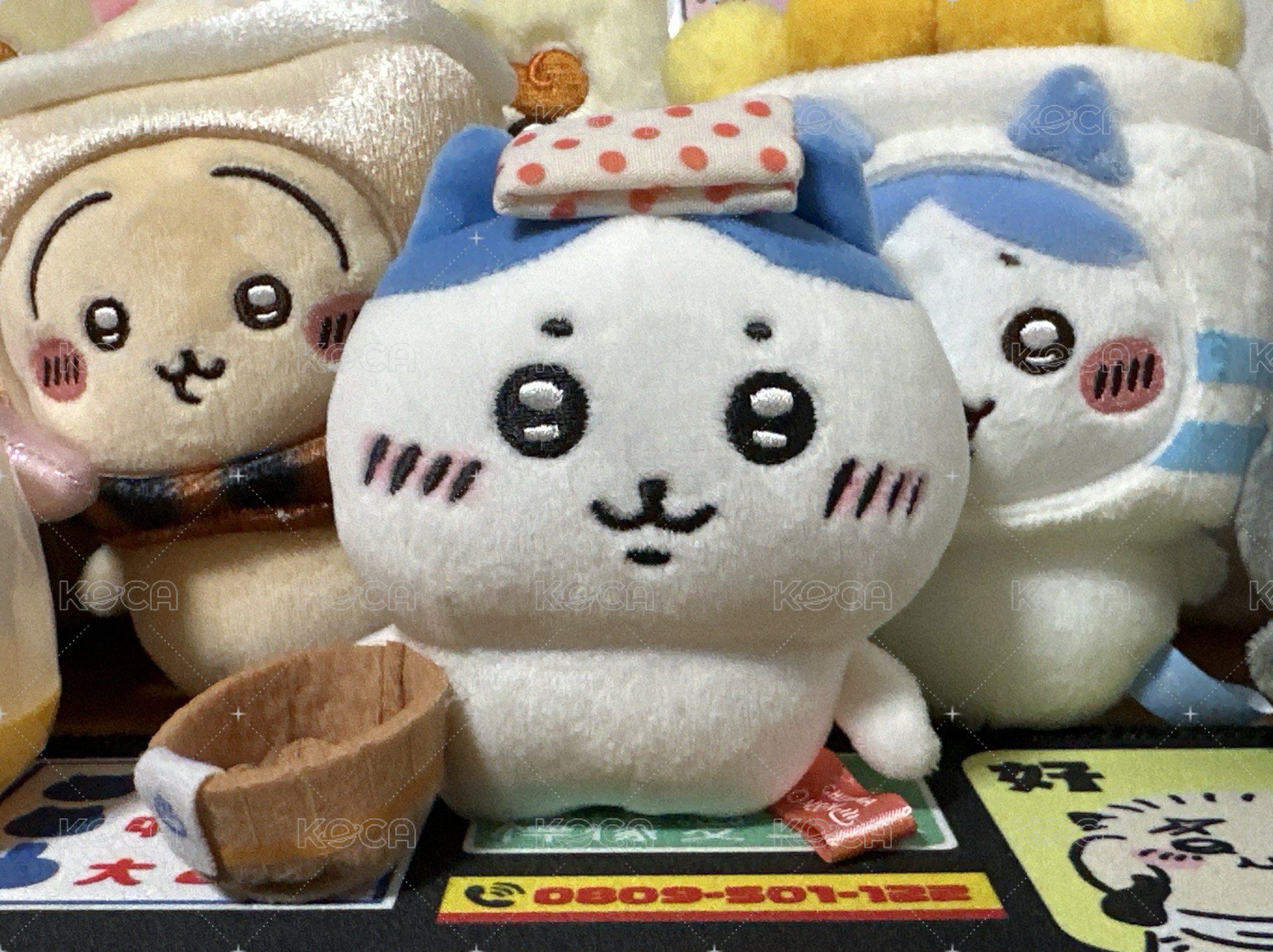 溫泉小八