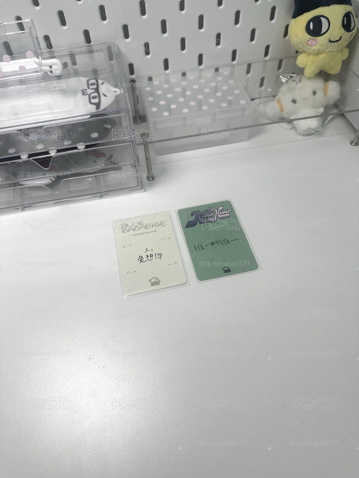 韓維辰中背