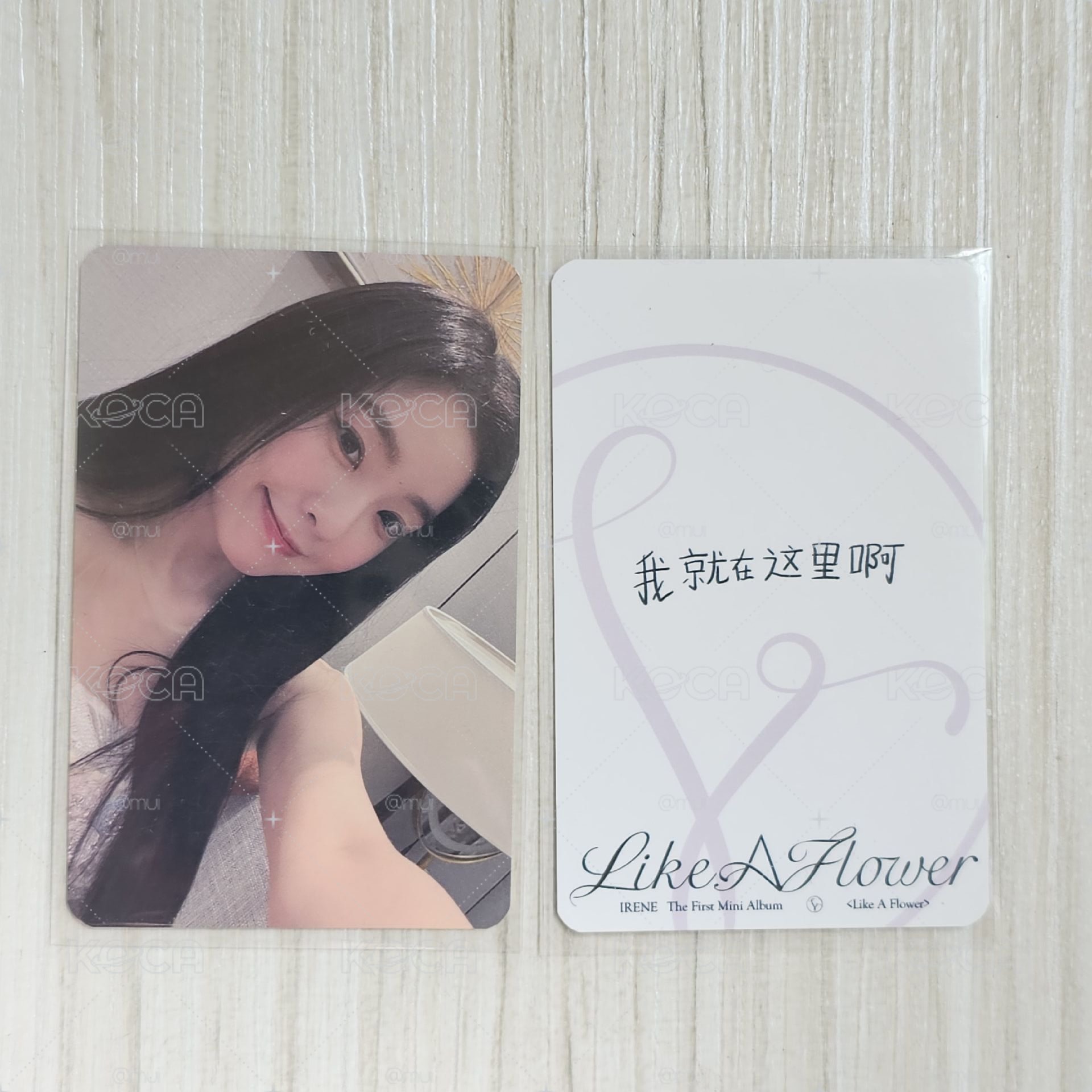 IRENE 泡泡摩奇 特典