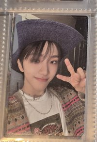 What WVS特典
