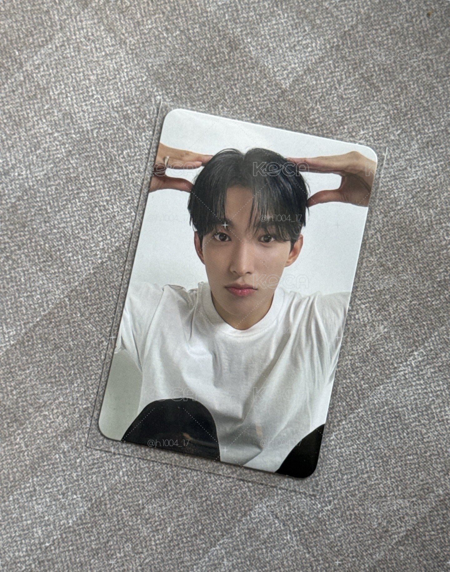 💎SVT 狗狗碩 精選專 克拉盤 小卡
