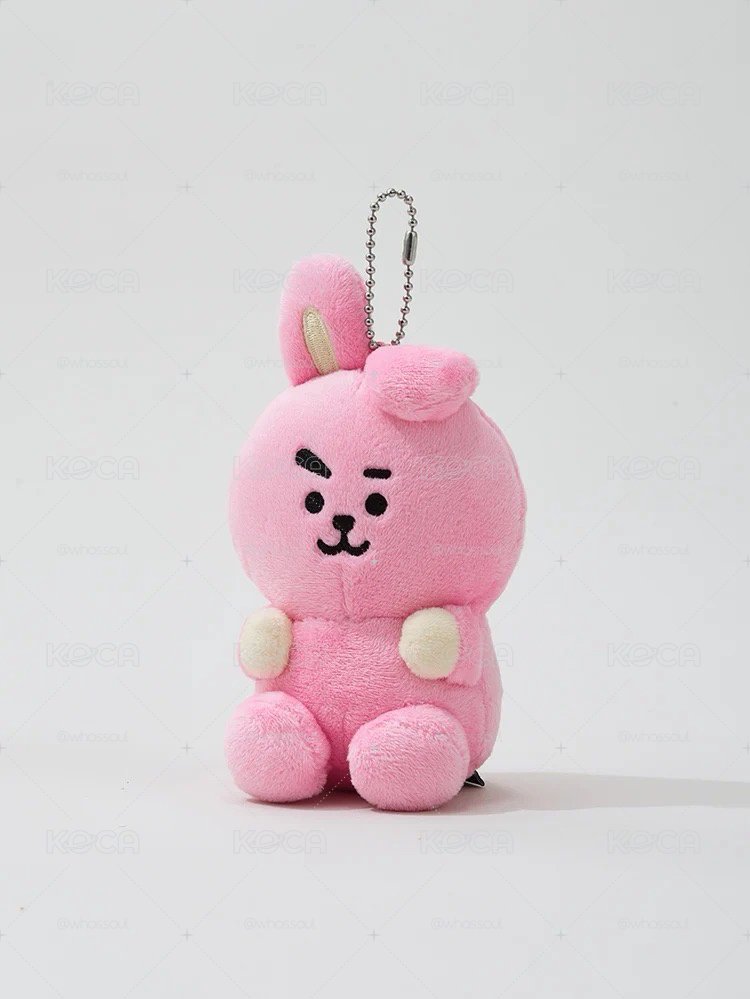 （全新現貨）BT21 旅行系列 Cooky
