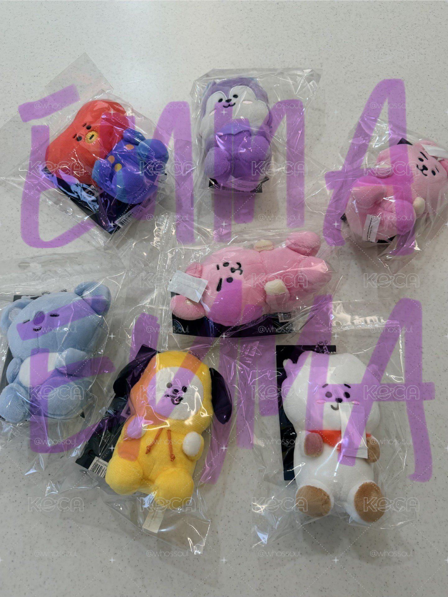 （全新現貨）BT21 旅行系列 Mang