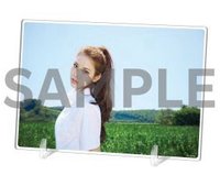 日本迷一 Lotte Duty Free 樂天 A賞 壓克力板 