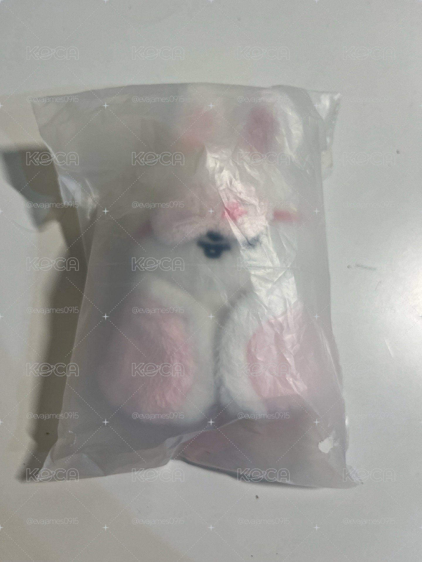 換城娃