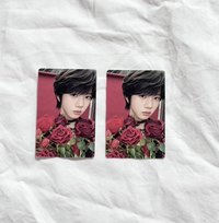 玫瑰🌹