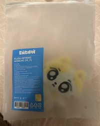 原皮元
