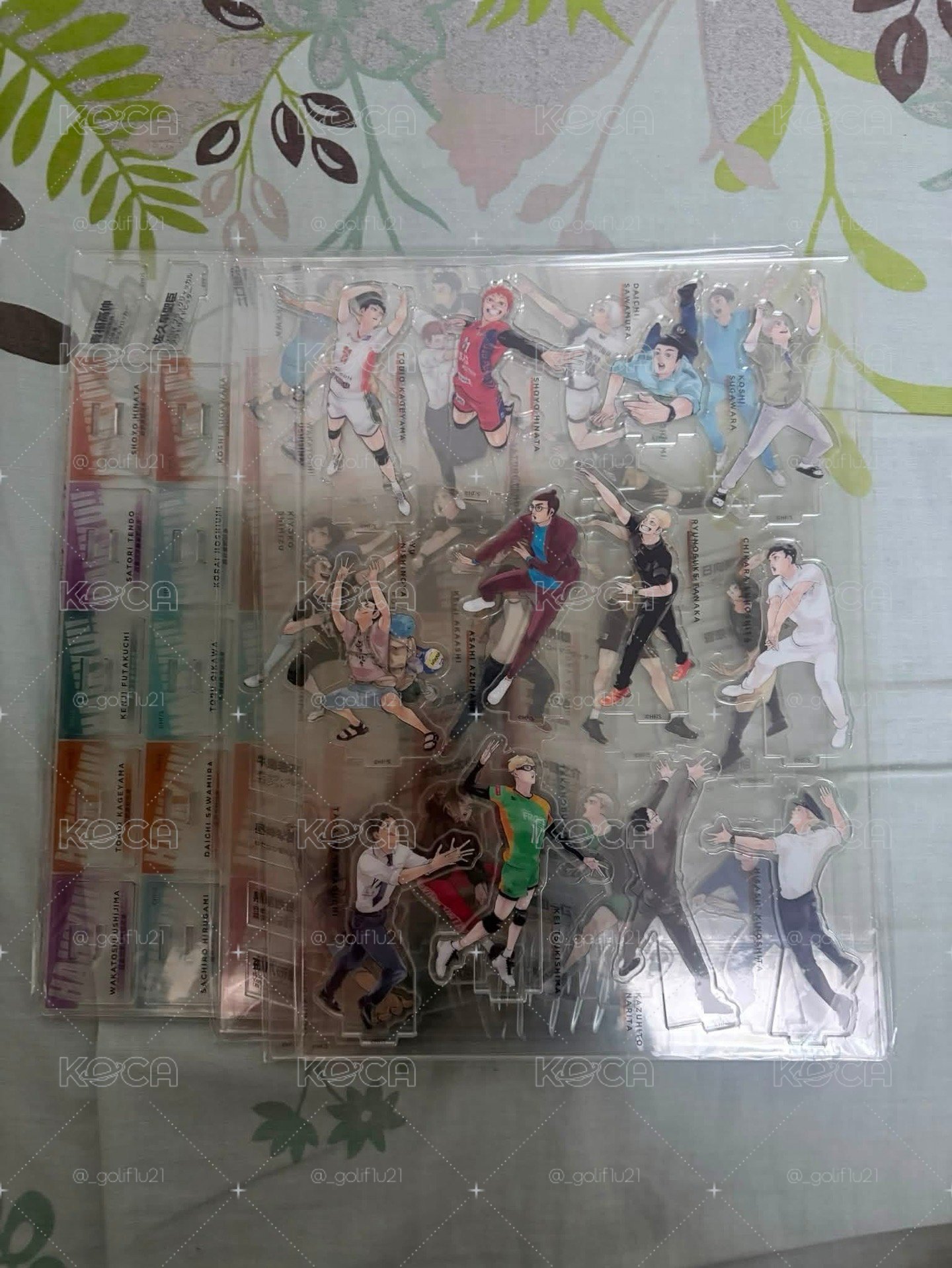 十週年紀念冊全套 豪華版