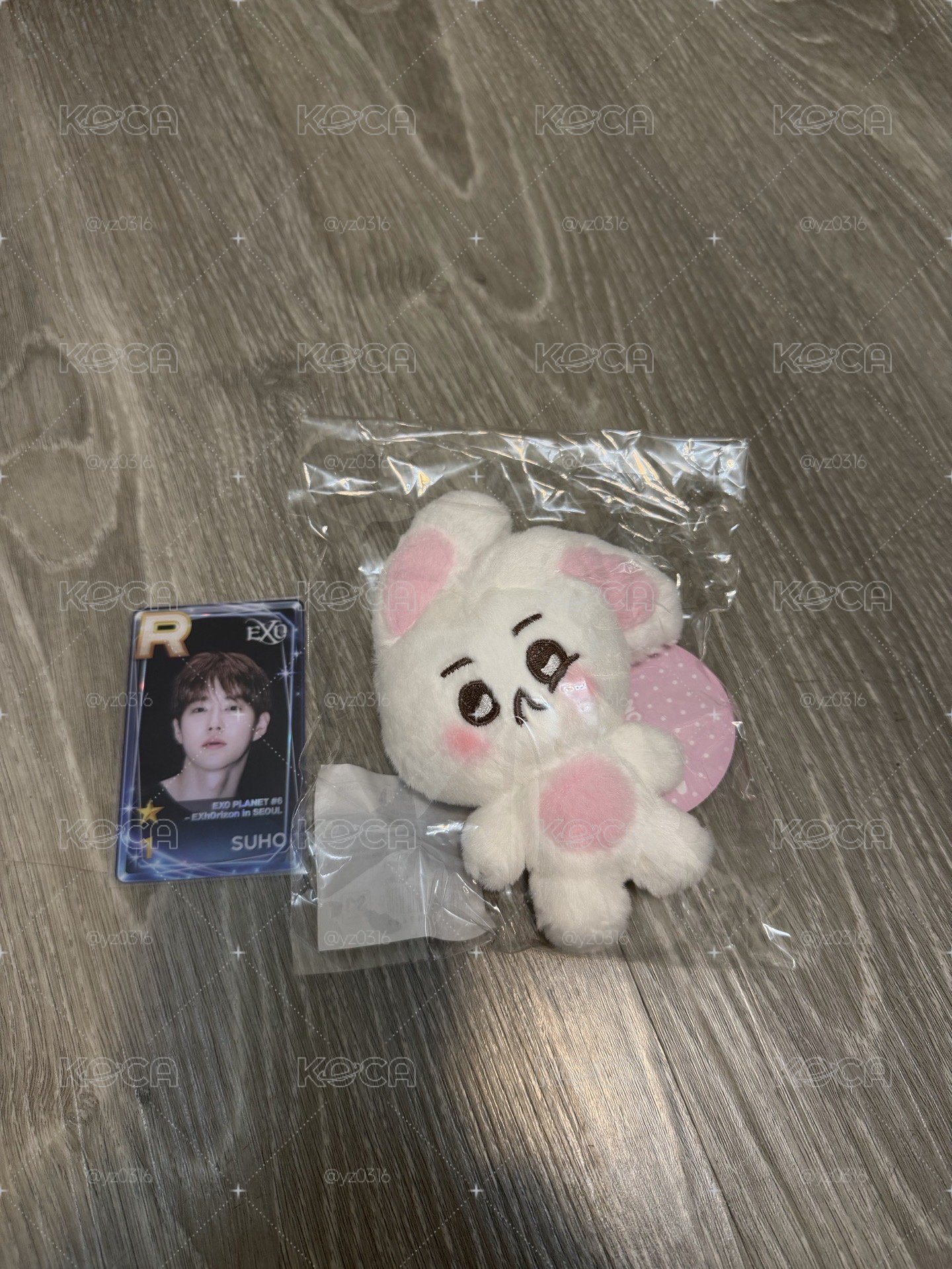 考特尼未拆+首爾遊戲卡🐰