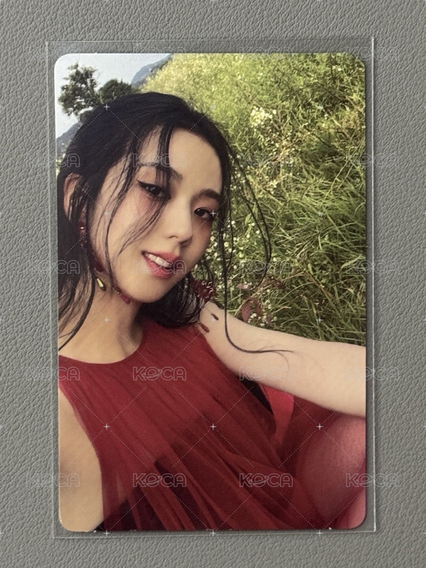草地秀1