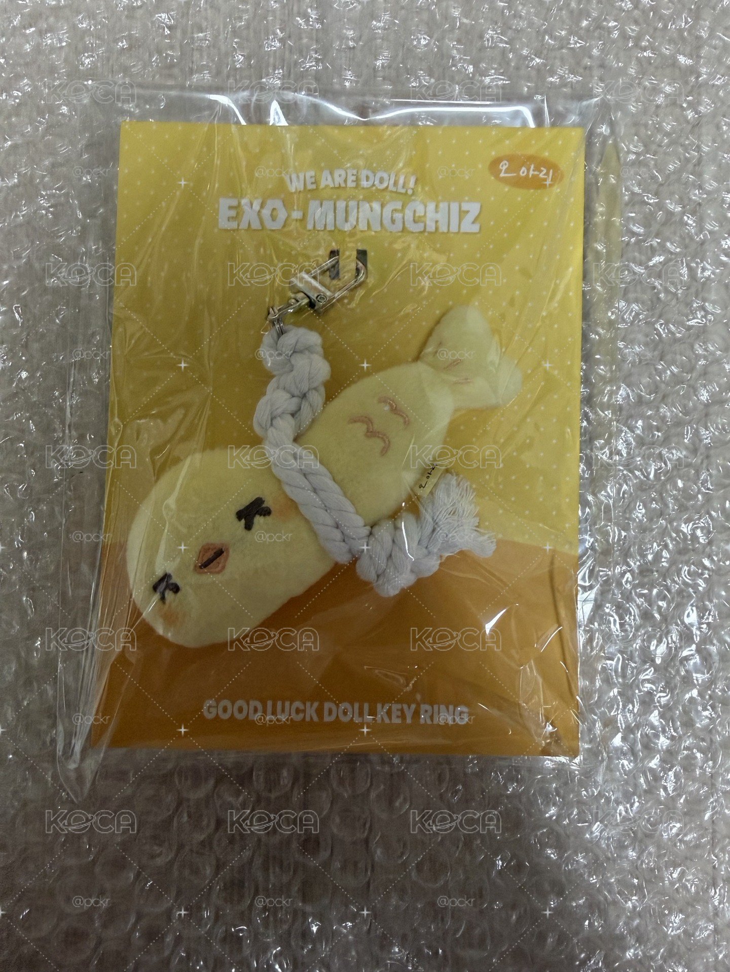 WE ARE DOLL! 吊娃 8/25前台灣出貨