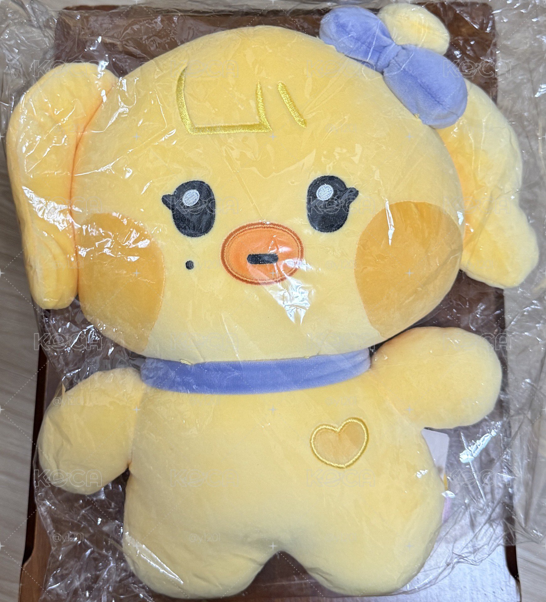 LINE FRIENDS快閃 MININI RANGNINI 大娃 