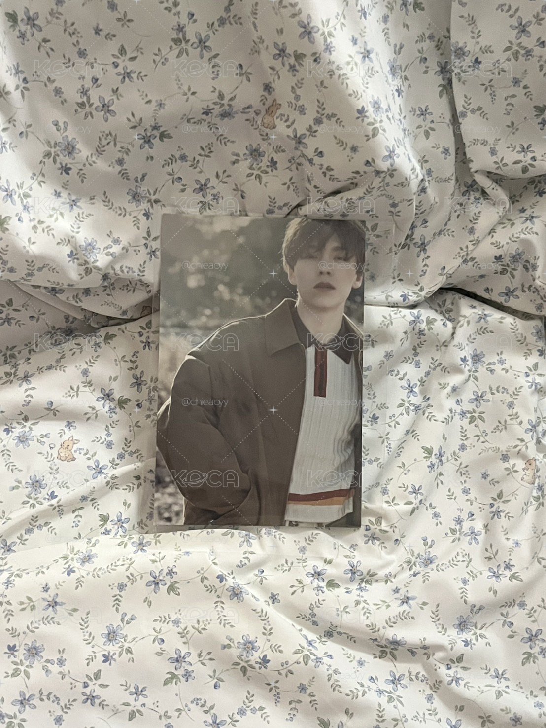 SEVENTEEN ｜率正四明信片