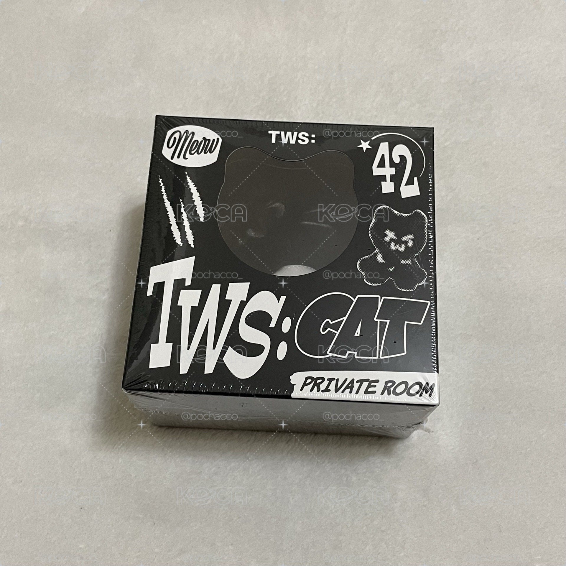 TWS 黑貓專