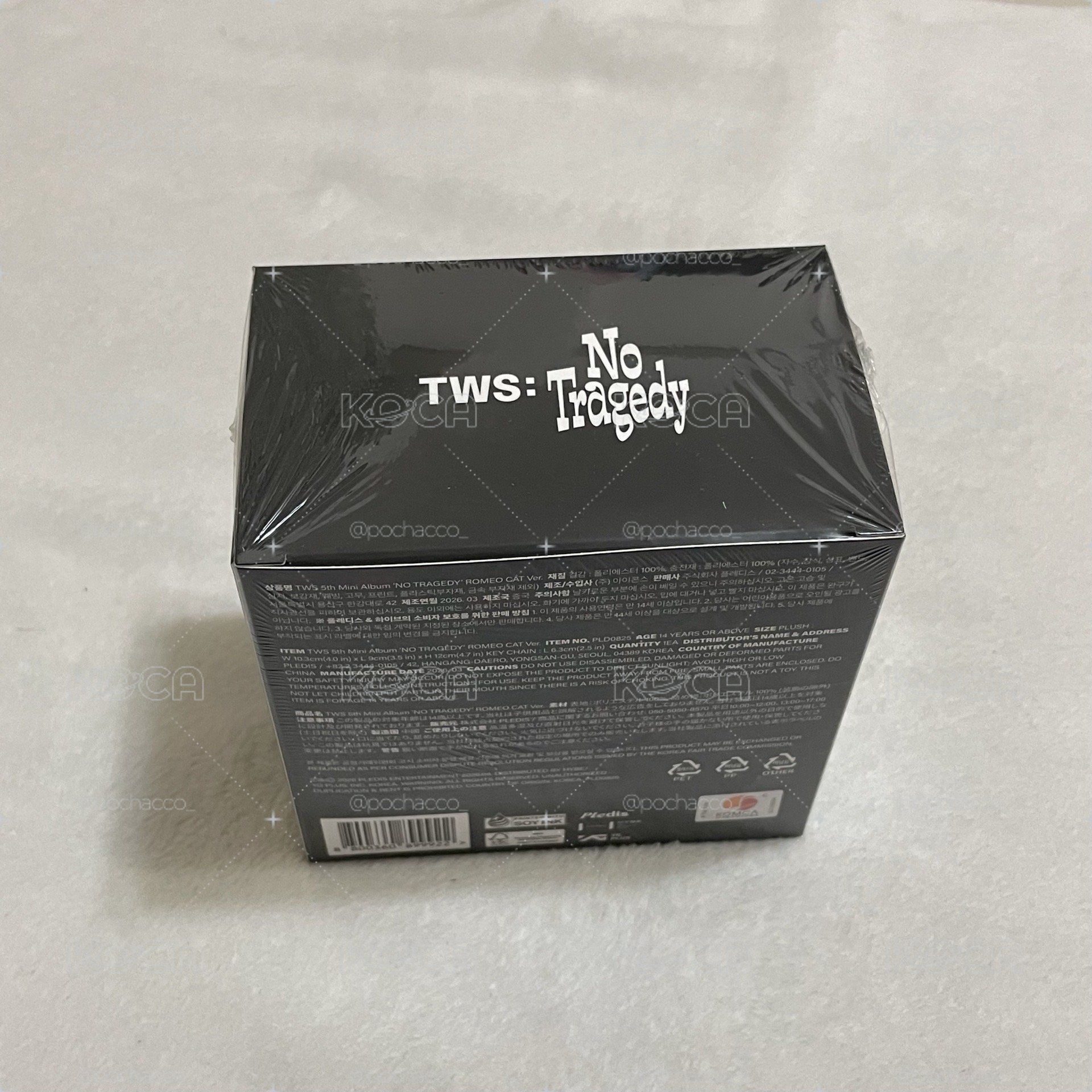 TWS 黑貓專