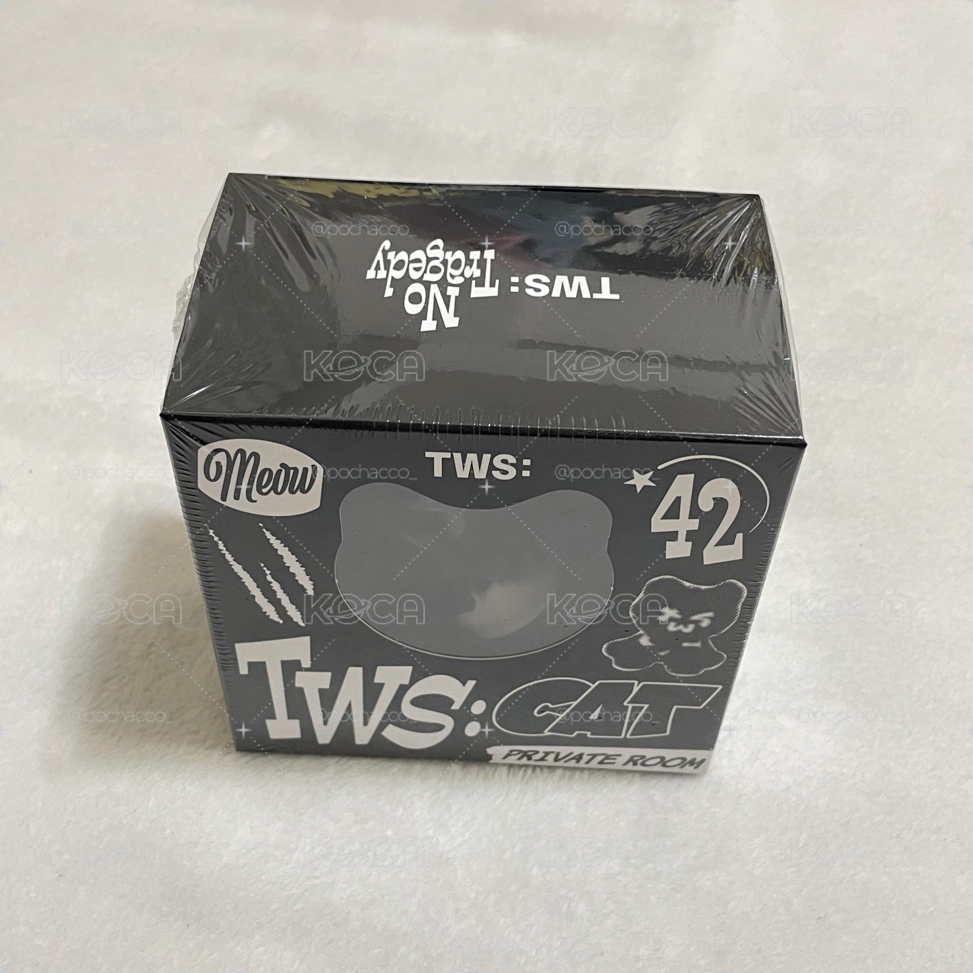 TWS 黑貓專