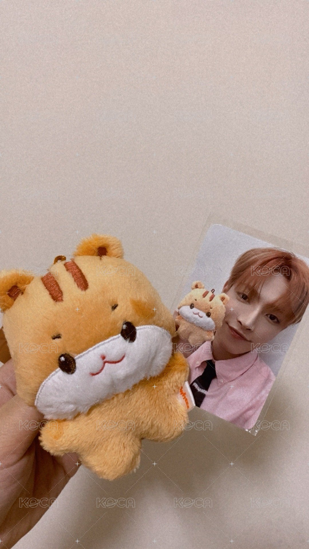 中中的娃🐯🐿️
