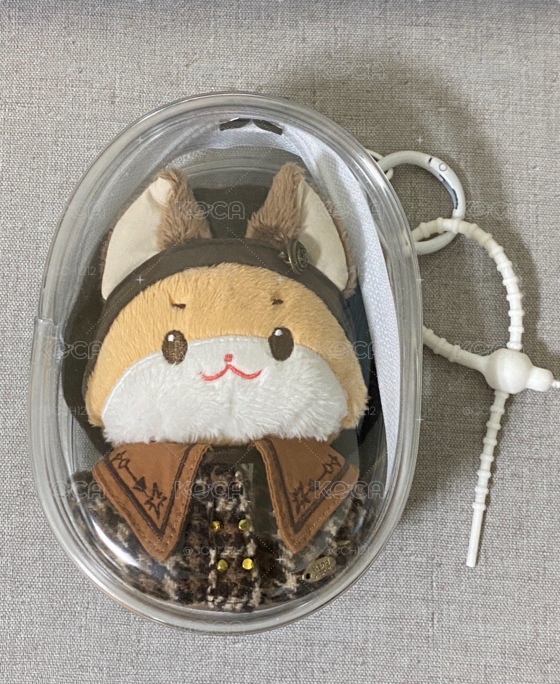 中中的娃🐯🐿️