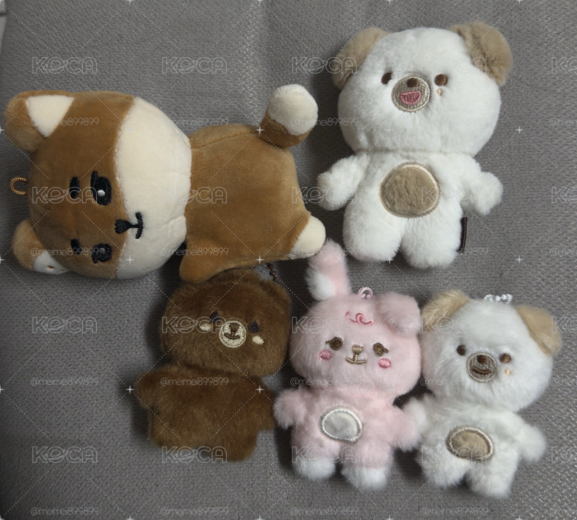 小動物們