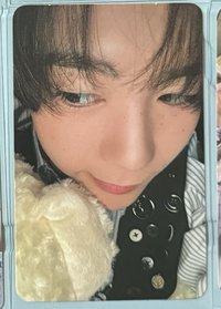 steady 紅版專卡遼