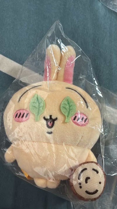 吉伊卡哇瓦娃們
