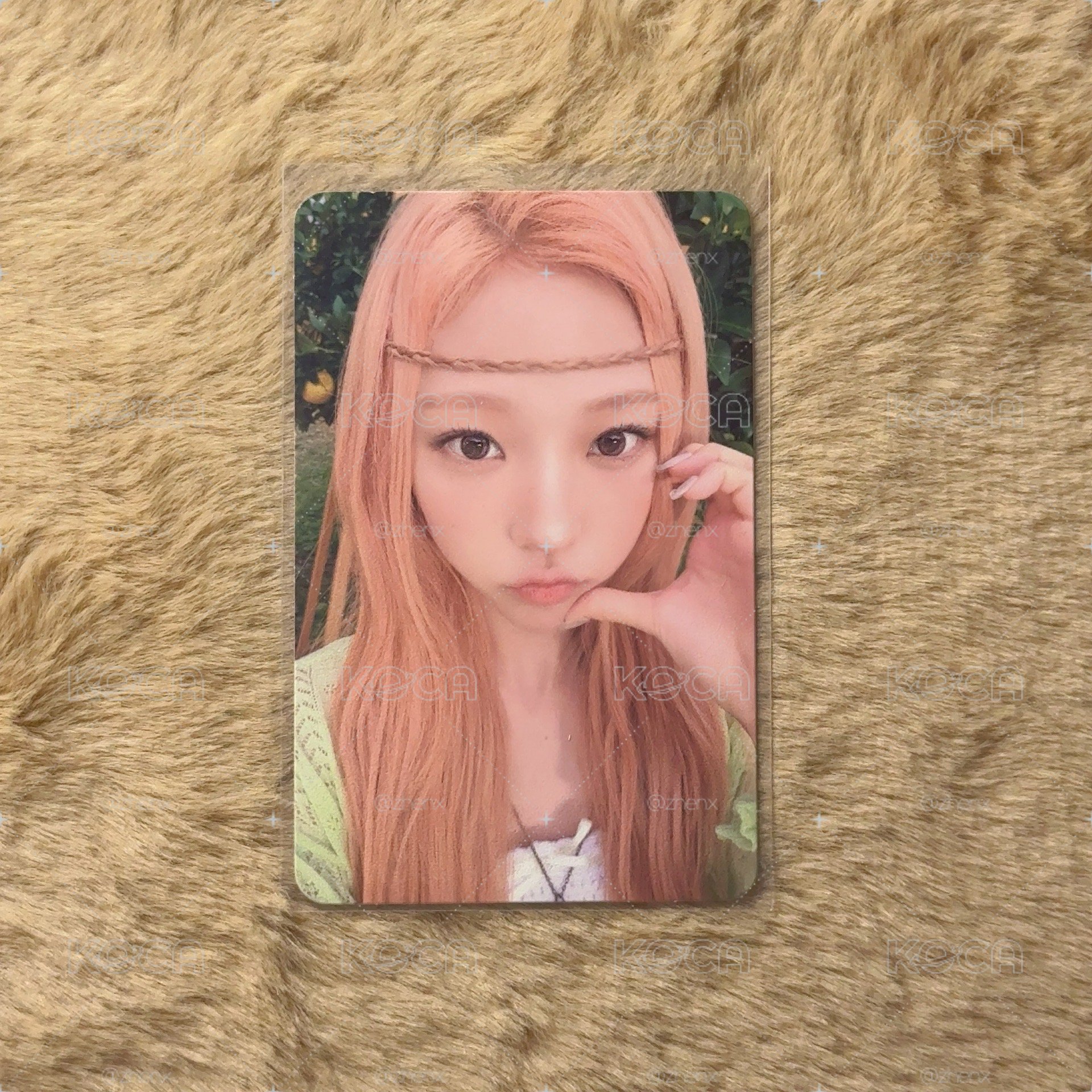 Stella sticker版專卡🧡