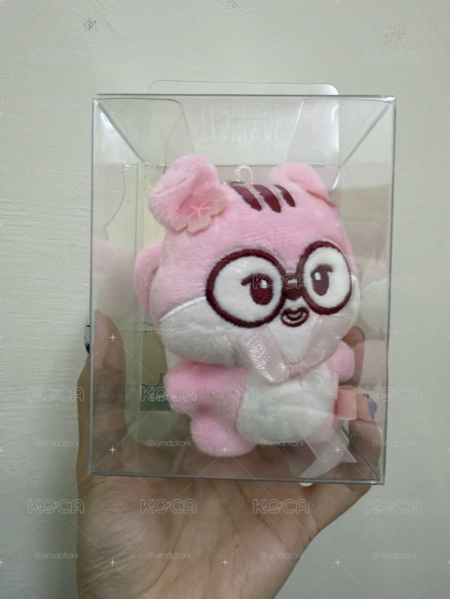 DORAN櫻花娃