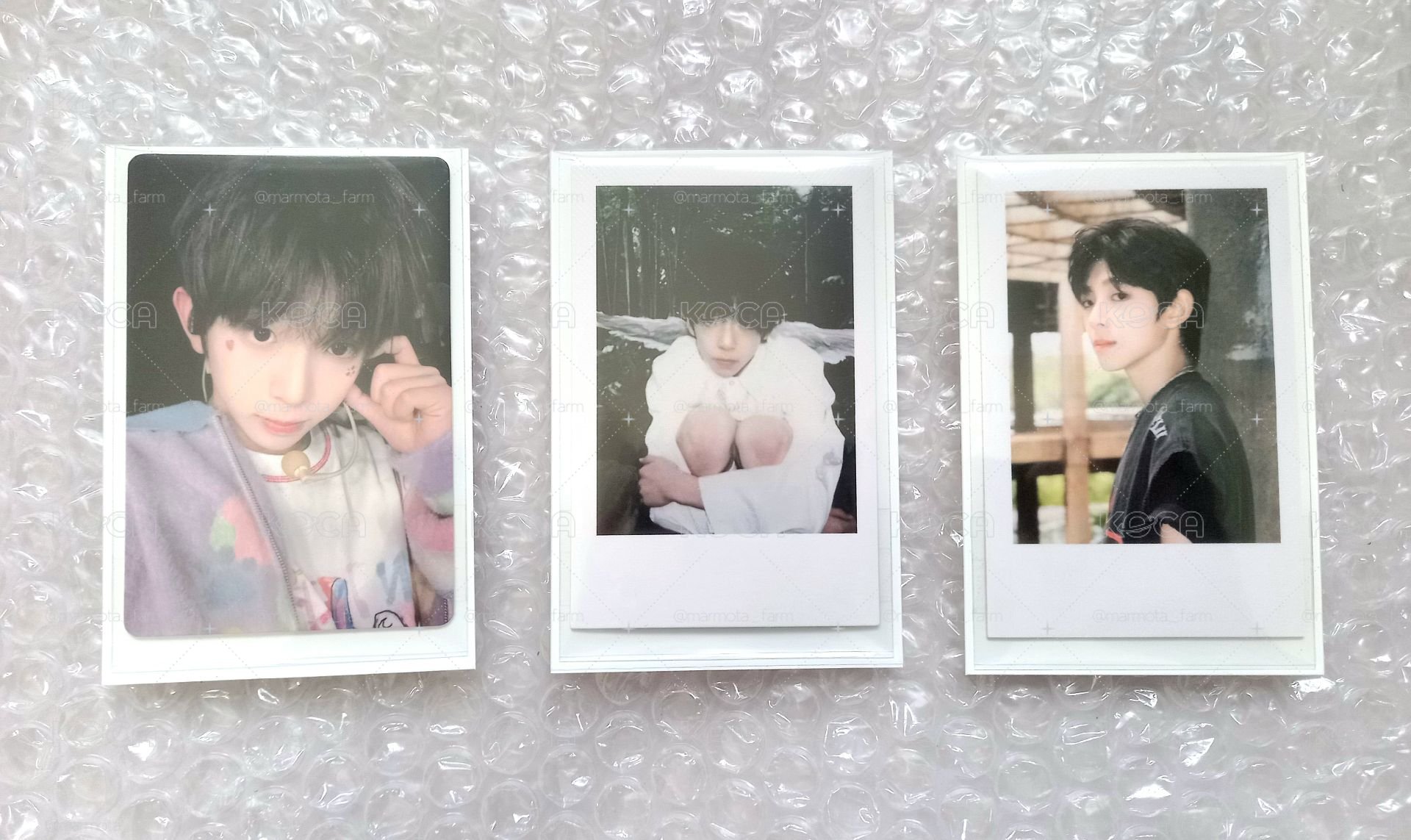 🐷陳浚銘 小卡合集
