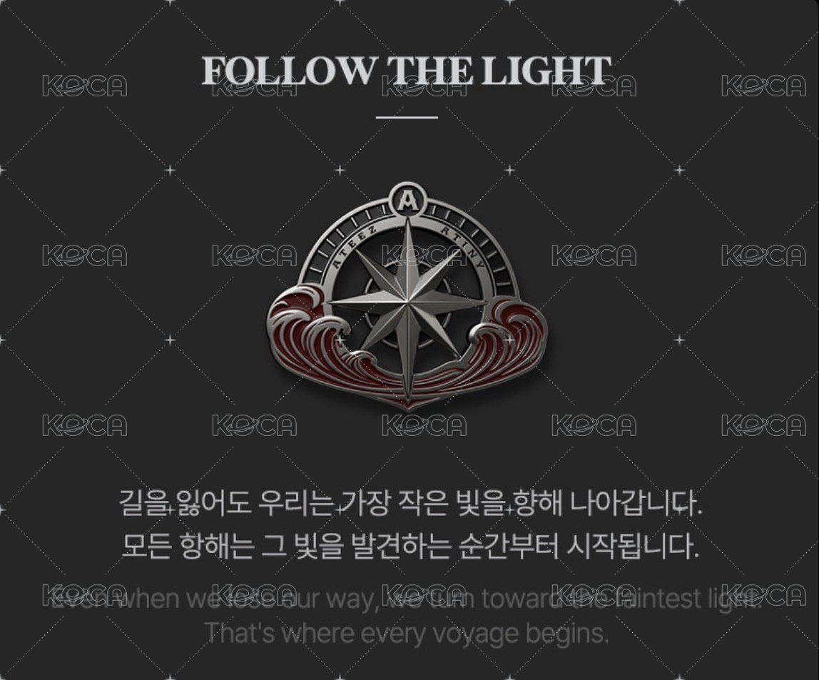 FOLLOW THE LIGHT